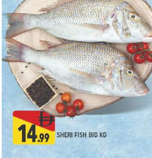 available at المدينة in الإمارات العربية المتحدة , الامارات - دبي