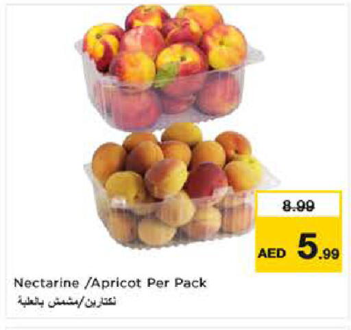 Nectarine Apricot available at نستو هايبرماركت in الإمارات العربية المتحدة , الامارات - ٱلْفُجَيْرَة‎