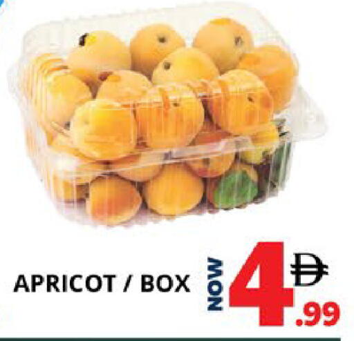 Apricot available at EXPRESS AL MADEENA HYPERMARKET LLC in UAE - Abu Dhabi