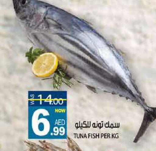 available at هاشم هايبرماركت in الإمارات العربية المتحدة , الامارات - الشارقة / عجمان