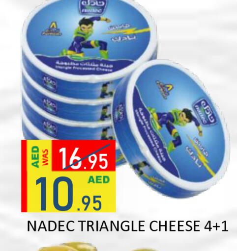 available at رويال جلف هايبرماركت in الإمارات العربية المتحدة , الامارات - أبو ظبي