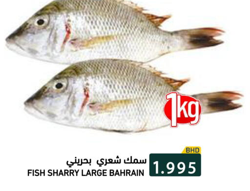 available at رامــز in البحرين