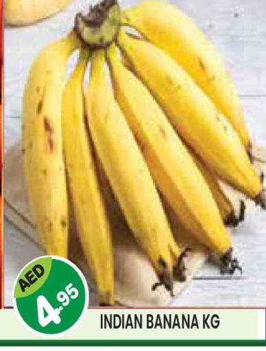 Banana from India available at سنابل بني ياس in الإمارات العربية المتحدة , الامارات - أبو ظبي