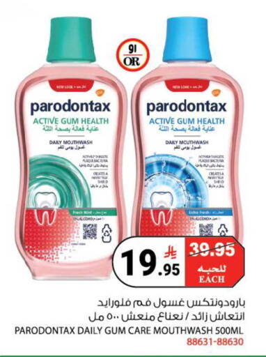 Mint available at House Care in KSA, Saudi Arabia, Saudi - Mecca