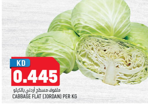 Cabbage from Jordan available at Oncost in Kuwait - Jahra Governorate