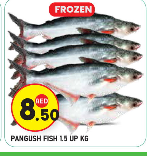 available at Baniyas Spike  in UAE - Abu Dhabi