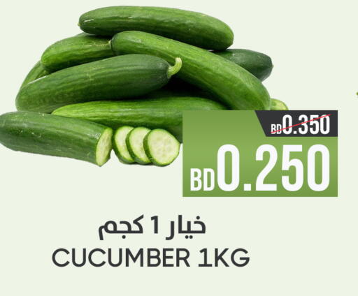 Cucumber available at مركز دي تو دي للتخفيضات in البحرين