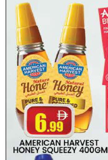 available at المدينة in الإمارات العربية المتحدة , الامارات - دبي