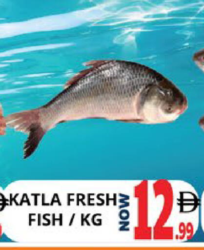 available at اكسبرس المدينة هايبرماركت in الإمارات العربية المتحدة , الامارات - أبو ظبي