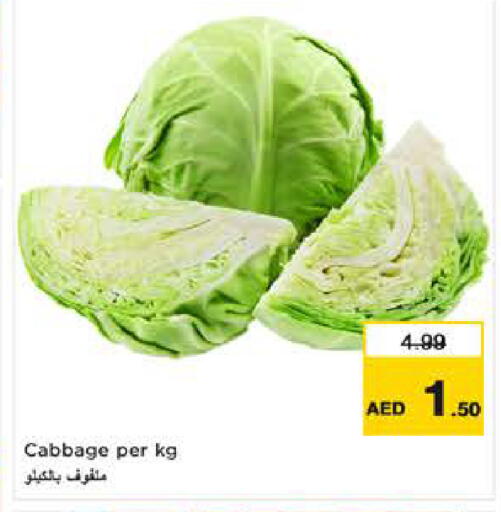 Cabbage available at نستو هايبرماركت in الإمارات العربية المتحدة , الامارات - ٱلْفُجَيْرَة‎