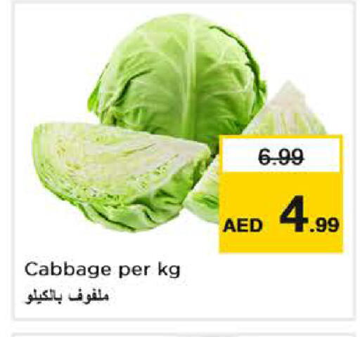 Cabbage available at Nesto Hypermarket in UAE - Dubai