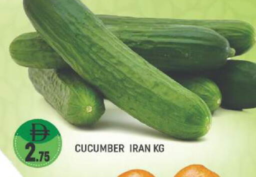 Cucumber from Iran available at المدينة in الإمارات العربية المتحدة , الامارات - دبي