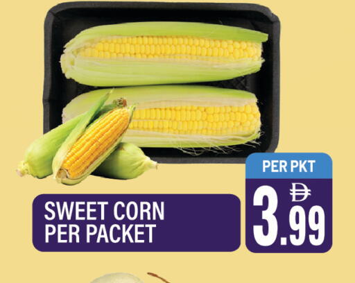 available at دريم لاند in الإمارات العربية المتحدة , الامارات - الشارقة / عجمان