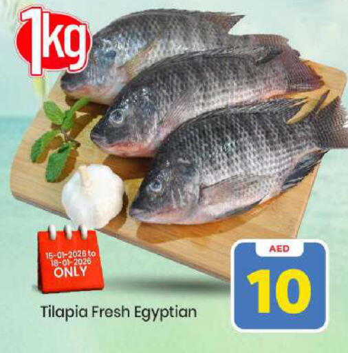 available at مارك & سيف in الإمارات العربية المتحدة , الامارات - أبو ظبي