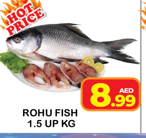 available at سنابل بني ياس in الإمارات العربية المتحدة , الامارات - رَأْس ٱلْخَيْمَة