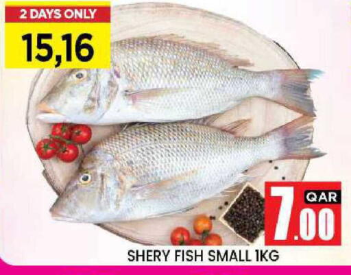 available at نيو ستوب اند شوب @فريج بن عمران in قطر - الريان