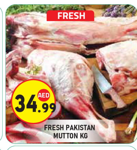 available at Baniyas Spike  in UAE - Abu Dhabi