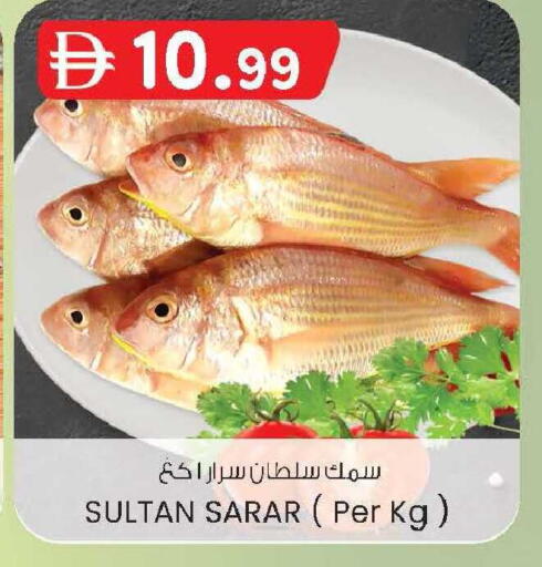 available at الصفا in الإمارات العربية المتحدة , الامارات - ٱلْعَيْن‎