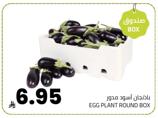 available at Astra Markets in KSA, Saudi Arabia, Saudi - Tabuk
