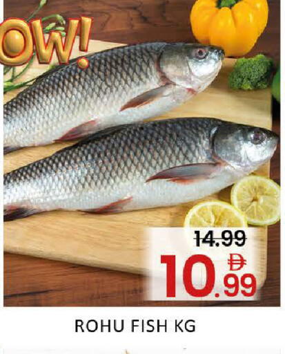 Mango available at مانجو هايبرماركت in الإمارات العربية المتحدة , الامارات - دبي