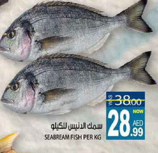 available at هاشم هايبرماركت in الإمارات العربية المتحدة , الامارات - الشارقة / عجمان