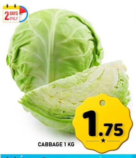 Cabbage available at باشن هايبر ماركت in قطر - الوكرة