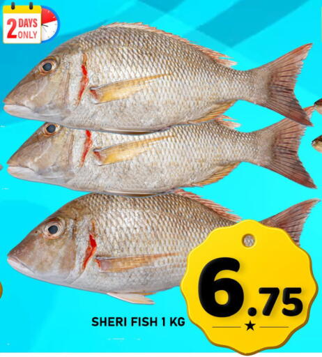 available at باشن هايبر ماركت in قطر - الضعاين