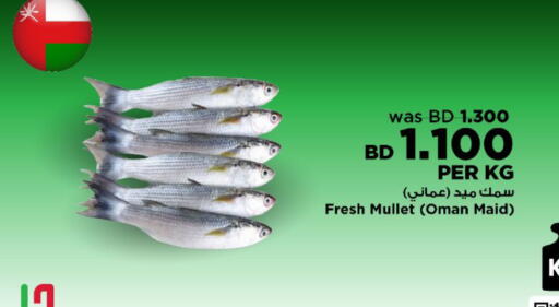 available at أسواق الحلي in البحرين