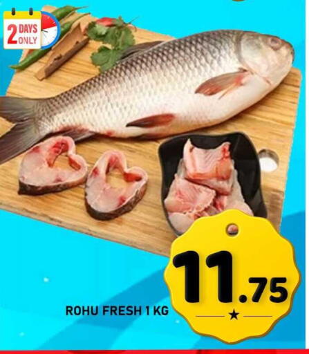 available at باشن هايبر ماركت in قطر - الوكرة