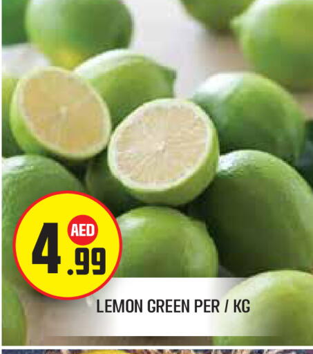 Lemon available at سنابل بني ياس in الإمارات العربية المتحدة , الامارات - ٱلْفُجَيْرَة‎