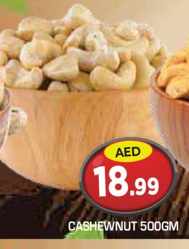 available at سنابل بني ياس in الإمارات العربية المتحدة , الامارات - أم القيوين‎