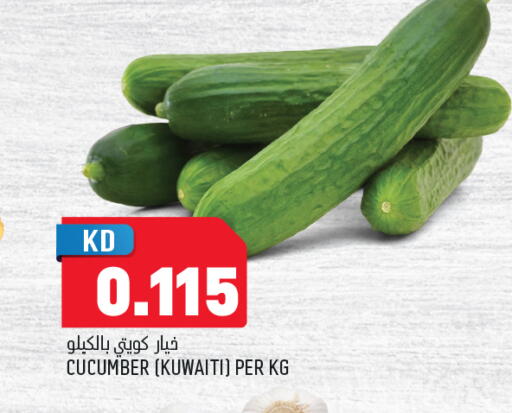 Cucumber from Kuwait available at Oncost in Kuwait - Jahra Governorate