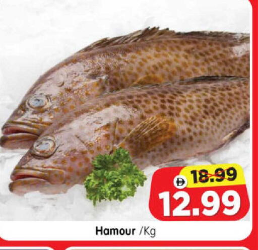 available at هايبر ماركت المدينة in الإمارات العربية المتحدة , الامارات - أبو ظبي