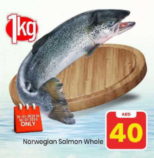 available at مارك & سيف in الإمارات العربية المتحدة , الامارات - الشارقة / عجمان