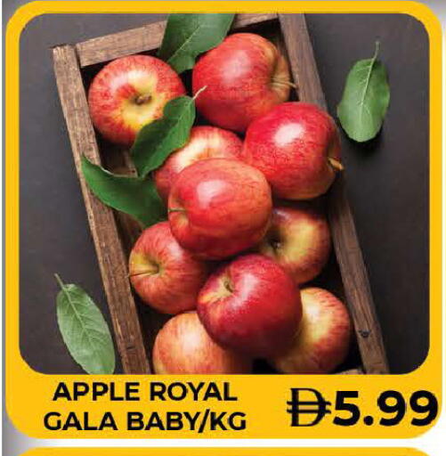 Apple available at المدينة in الإمارات العربية المتحدة , الامارات - دبي