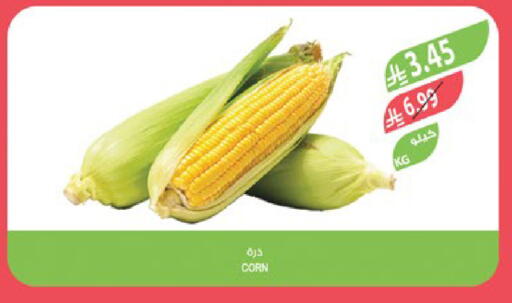 available at المزرعة in مملكة العربية السعودية, السعودية, سعودية - ينبع