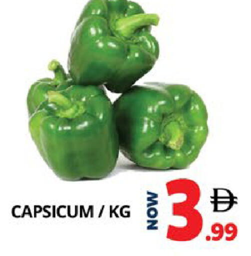 Capsicum available at اكسبرس المدينة هايبرماركت in الإمارات العربية المتحدة , الامارات - أبو ظبي