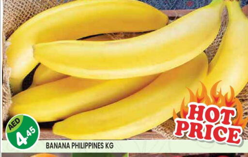Banana from Philippines available at سنابل بني ياس in الإمارات العربية المتحدة , الامارات - أبو ظبي