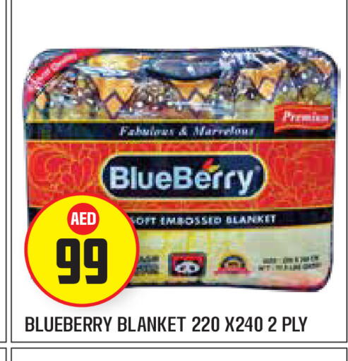 Blueberry BlueBerry available at Baniyas Spike  in UAE - Dubai