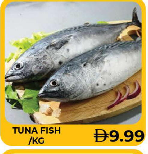 available at AL MADINA (Dubai) in UAE - Dubai