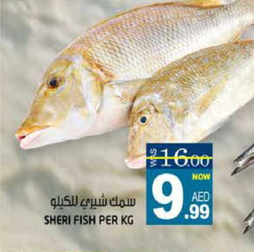 available at هاشم هايبرماركت in الإمارات العربية المتحدة , الامارات - الشارقة / عجمان