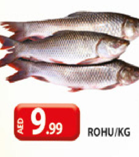 available at المدينة in الإمارات العربية المتحدة , الامارات - دبي