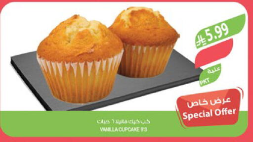 Vanilla available at المزرعة in مملكة العربية السعودية, السعودية, سعودية - أبها