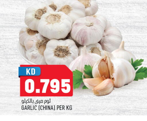 Garlic from China available at Oncost in Kuwait - Ahmadi Governorate
