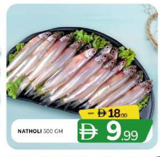 available at المدينة in الإمارات العربية المتحدة , الامارات - الشارقة / عجمان