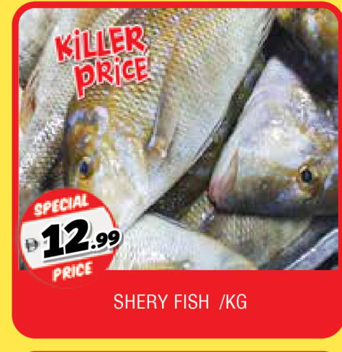 available at AL MADINA in UAE - Sharjah / Ajman