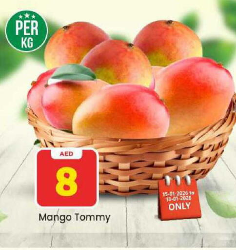Mango available at مارك & سيف in الإمارات العربية المتحدة , الامارات - دبي