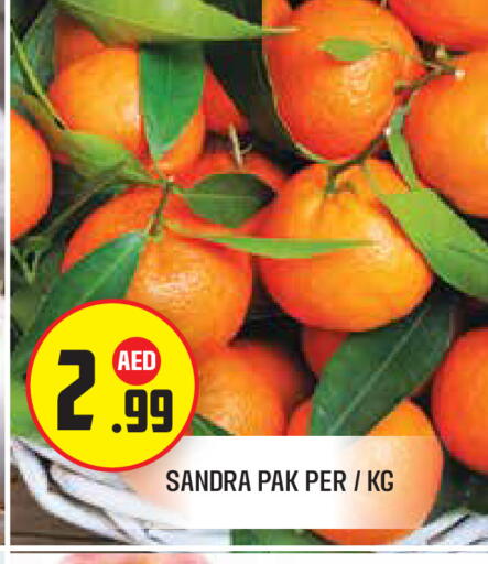 available at سنابل بني ياس in الإمارات العربية المتحدة , الامارات - أبو ظبي