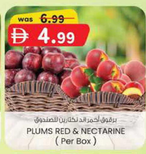 Plums Nectarine available at K M Trading  in UAE - Dubai