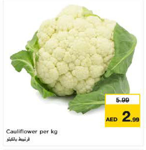Cauliflower available at نستو هايبرماركت in الإمارات العربية المتحدة , الامارات - ٱلْفُجَيْرَة‎